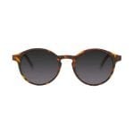 عینک آفتابی بارنر | Le Marais Tortoise Cocoa Brown Sun